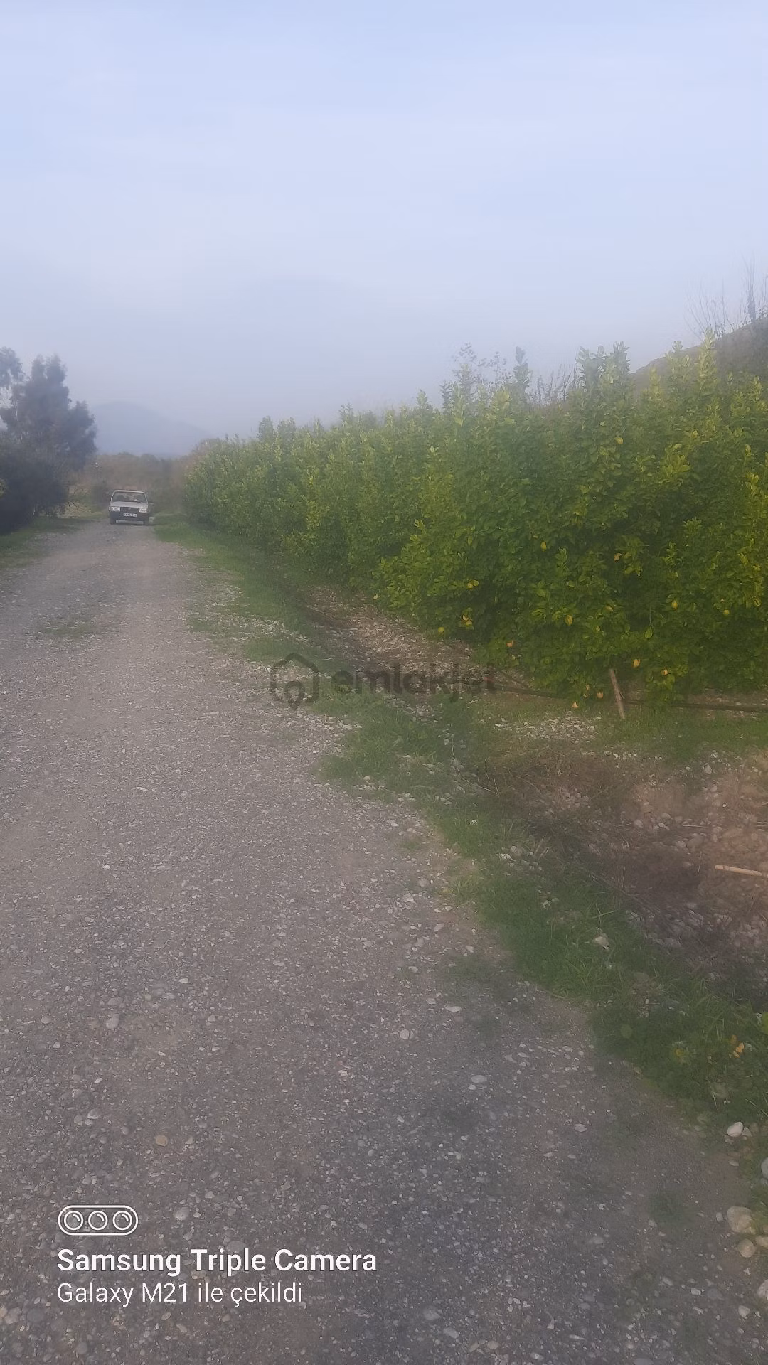 Lütfen Açıklamayı Okuyunuz. Ortaca Akıncıda Devirli 3 Parsel - 3