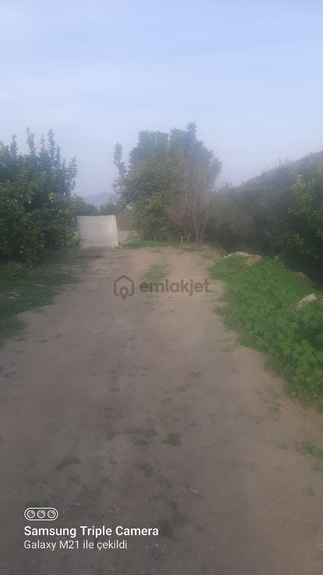 Lütfen Açıklamayı Okuyunuz. Ortaca Akıncıda Devirli 3 Parsel - 13