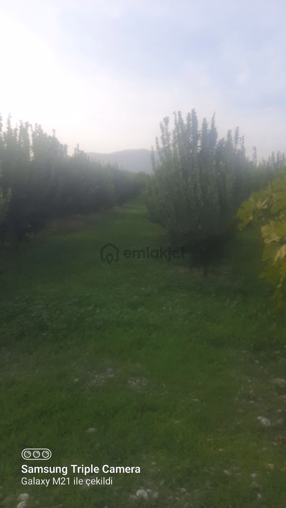 Lütfen Açıklamayı Okuyunuz. Ortaca Akıncıda Devirli 3 Parsel - 7