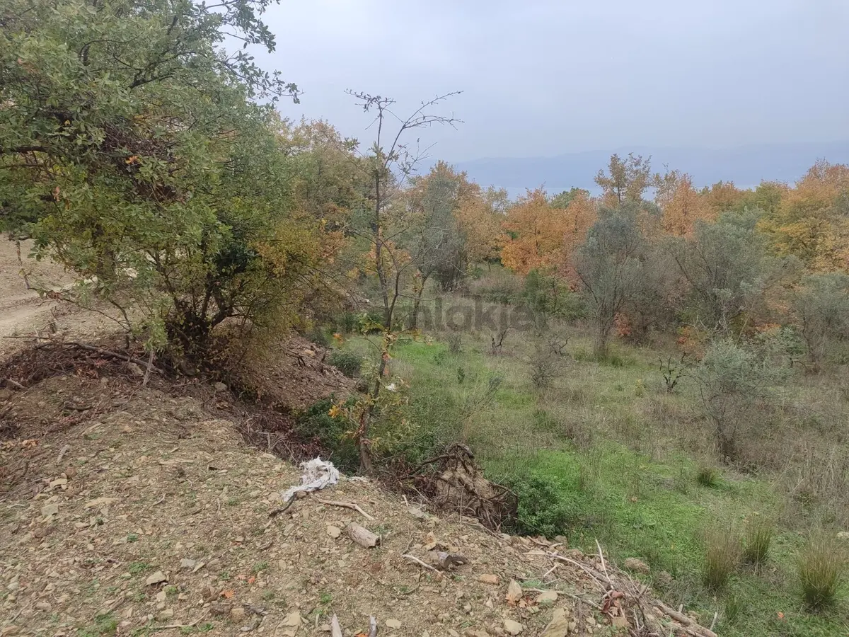 İznik Derbent Tek Kadastro Yoluna Cephe Satılık Tarla - 13