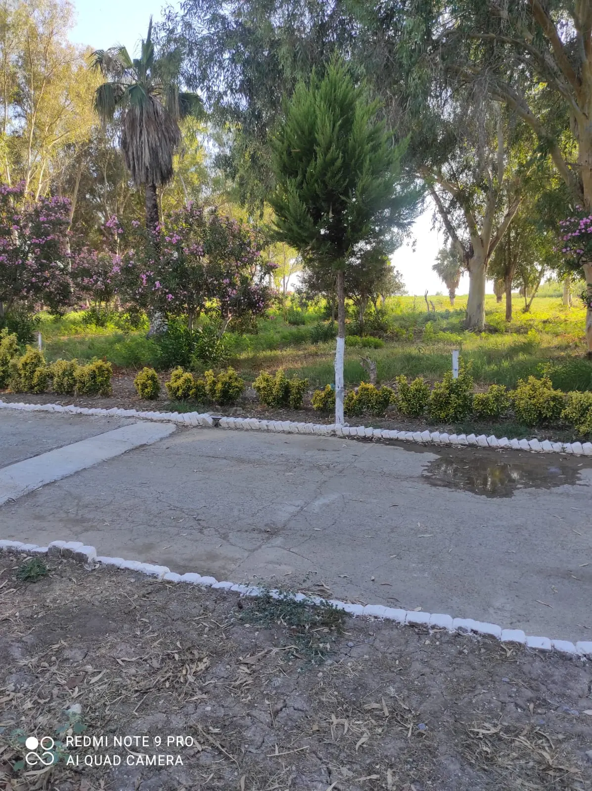 Didimde Daire Fiyatına Bahçeli Villa - 7