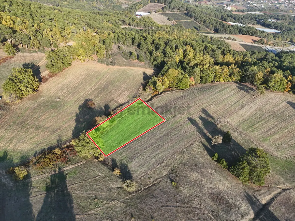 Emlakevim - Kemaliye Mahallesinde Satılık1.314 M2 Tarla ! - 10