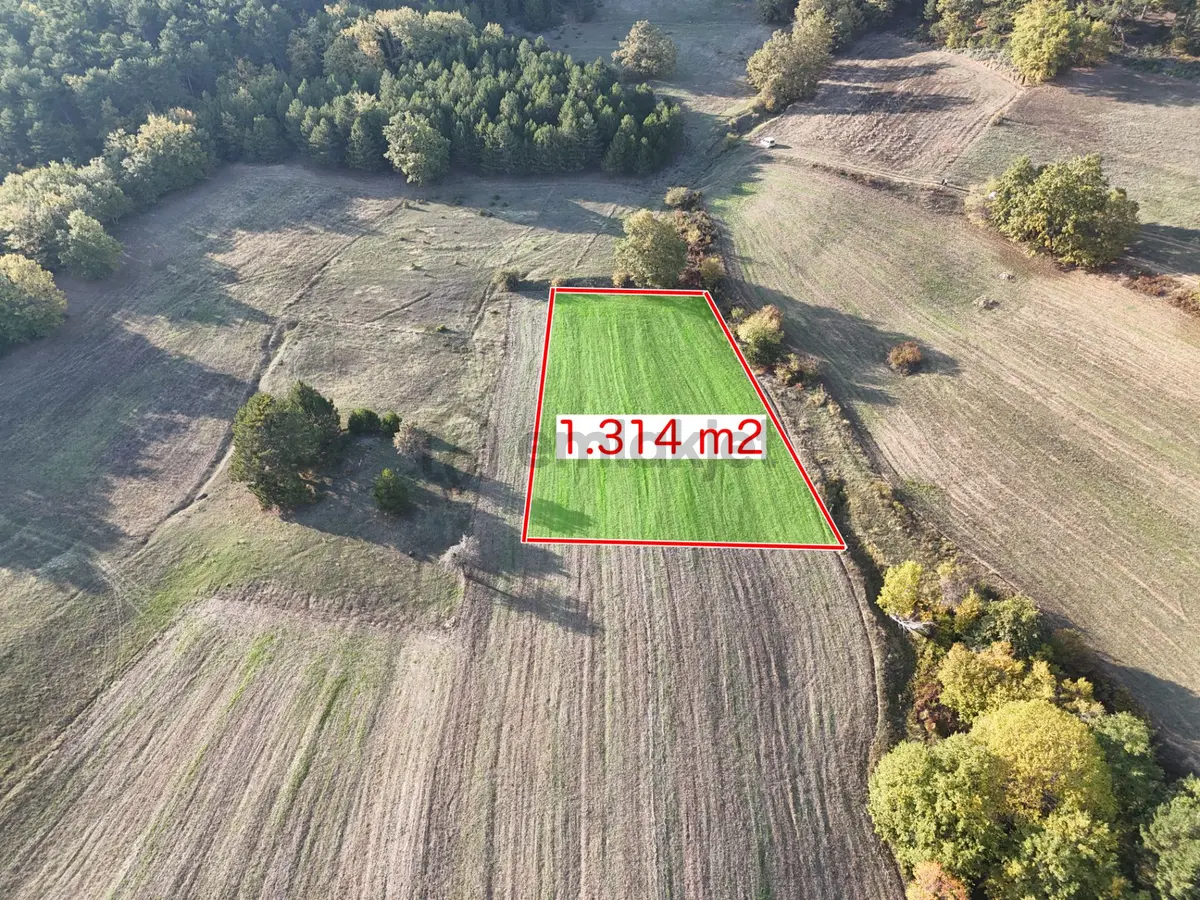 Emlakevim - Kemaliye Mahallesinde Satılık1.314 M2 Tarla ! - 3