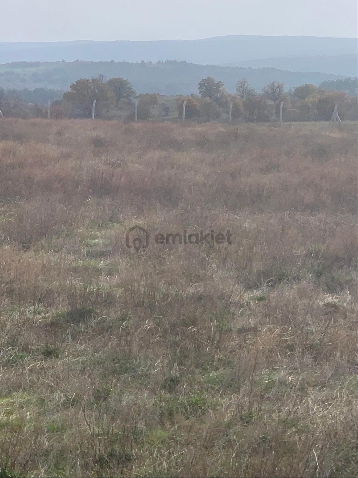Kırklarelı Kofçazkocatarla Satılık Tarla - 4