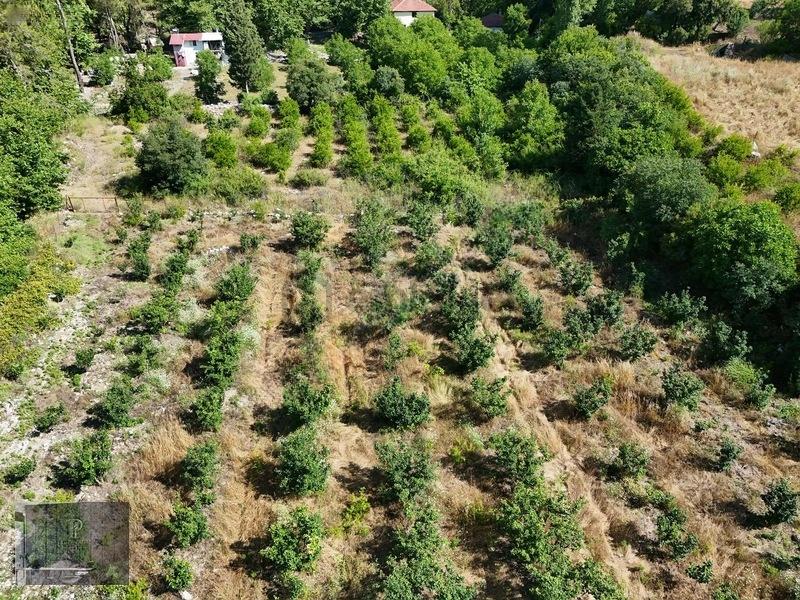 Kumluca Karacaörende630m2 Satılık Tarla - 30