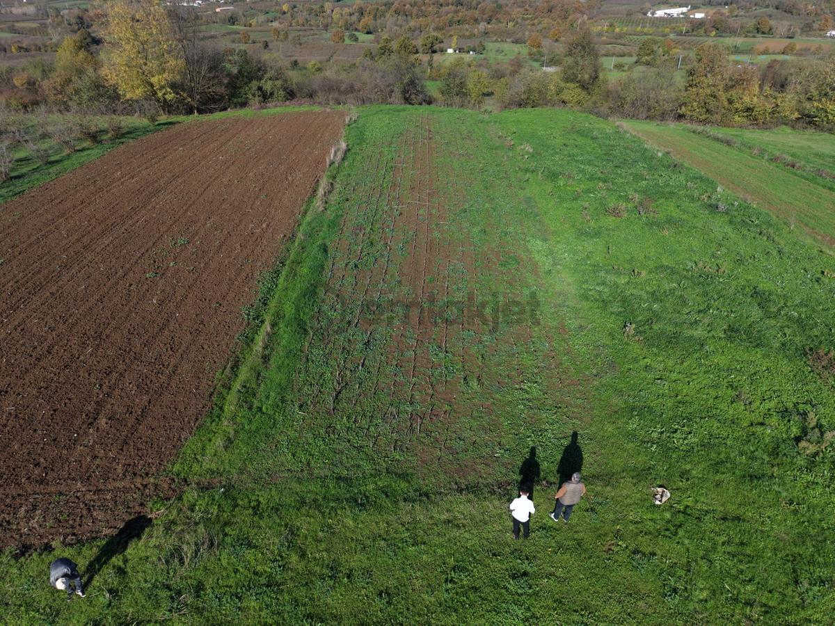 Emlakevim - Şeyhler Mahallesinde Satılık 908 M2 Tarla ! - 24