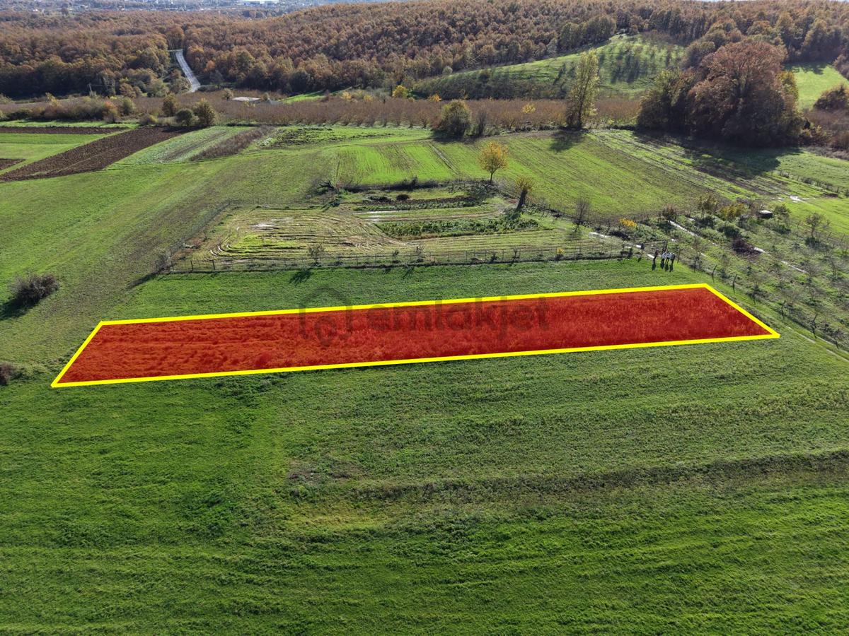 Emlakevim - Şehler Mahallesinde Satılık 980 M2 Tarla ! - 21