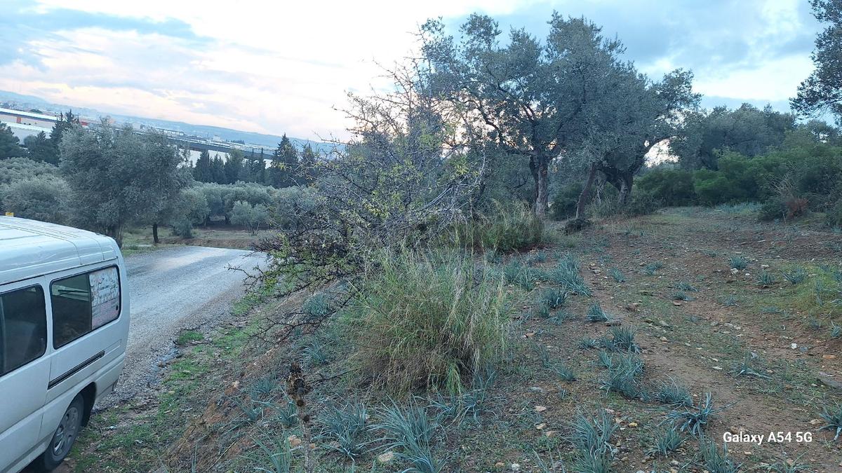 Torbalıda Satılık Arsa 459m² - 3