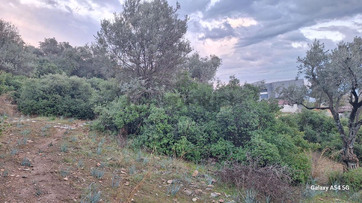 Torbalıda Satılık Arsa 459m² - 7