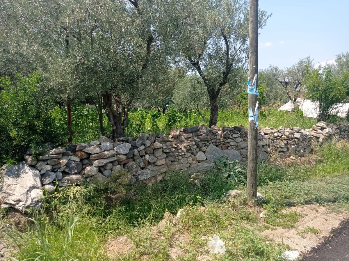 Aydın Karacasu Yenice Mah Satılık - 18