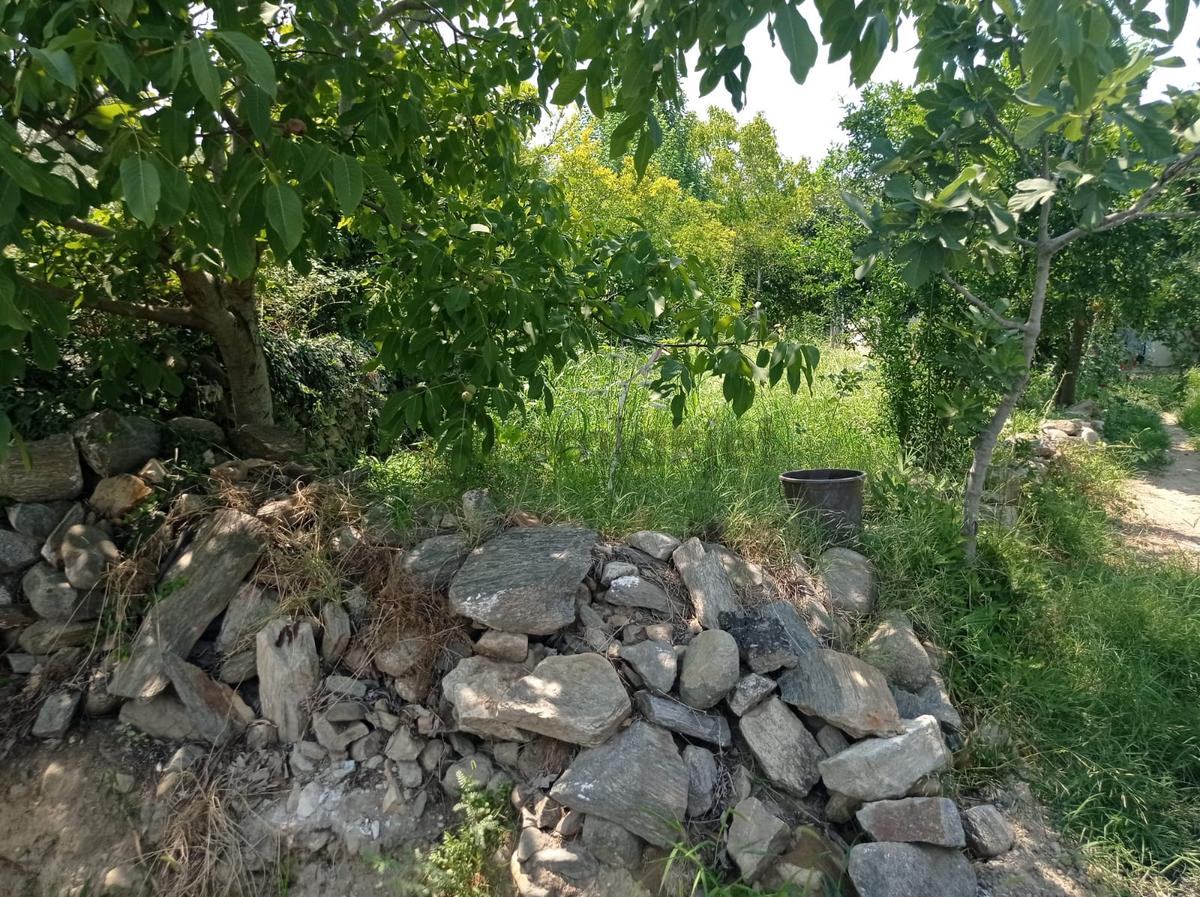 Aydın Karacasu Yenice Mah Satılık - 13