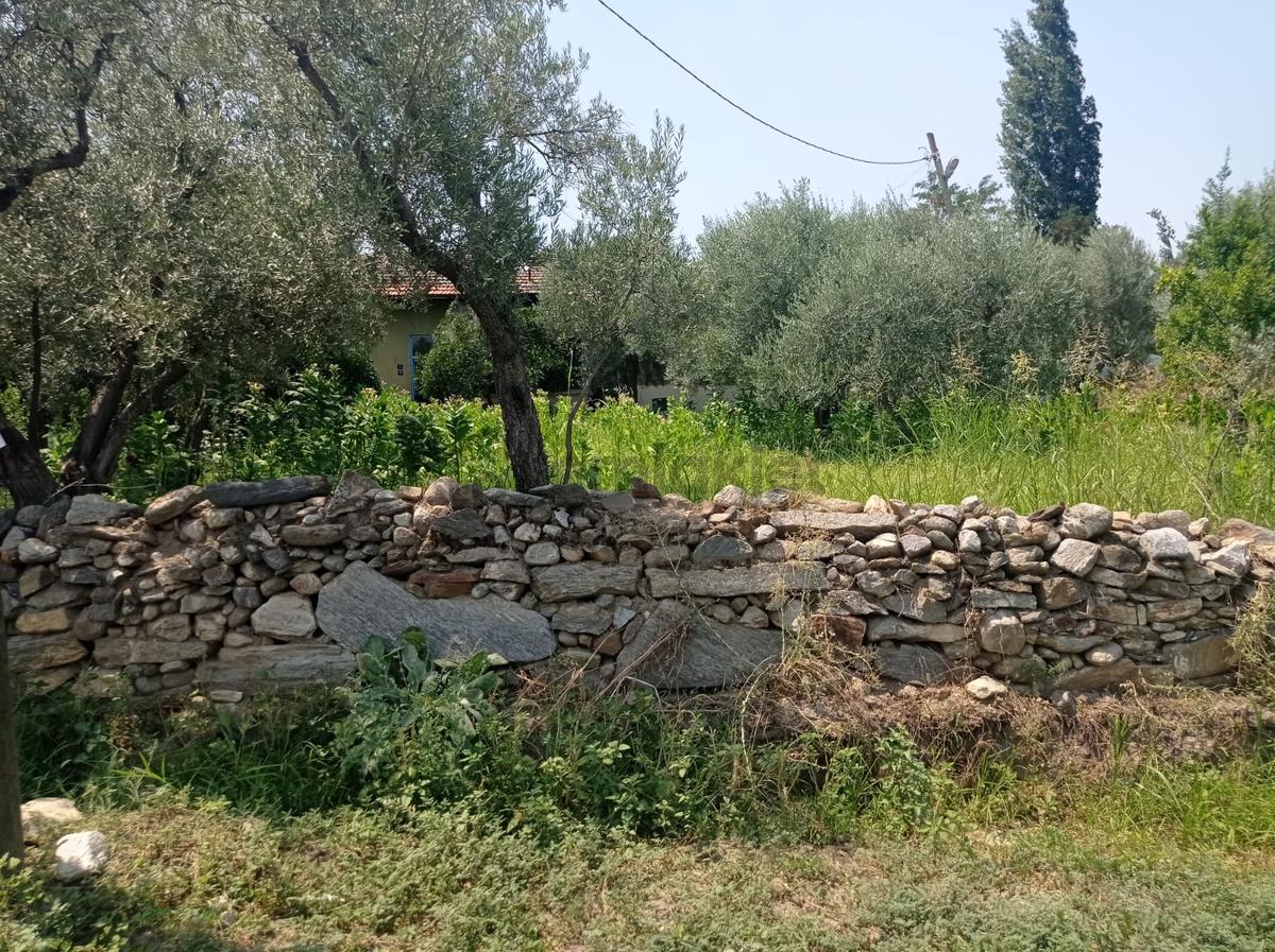 Aydın Karacasu Yenice Mah Satılık - 19