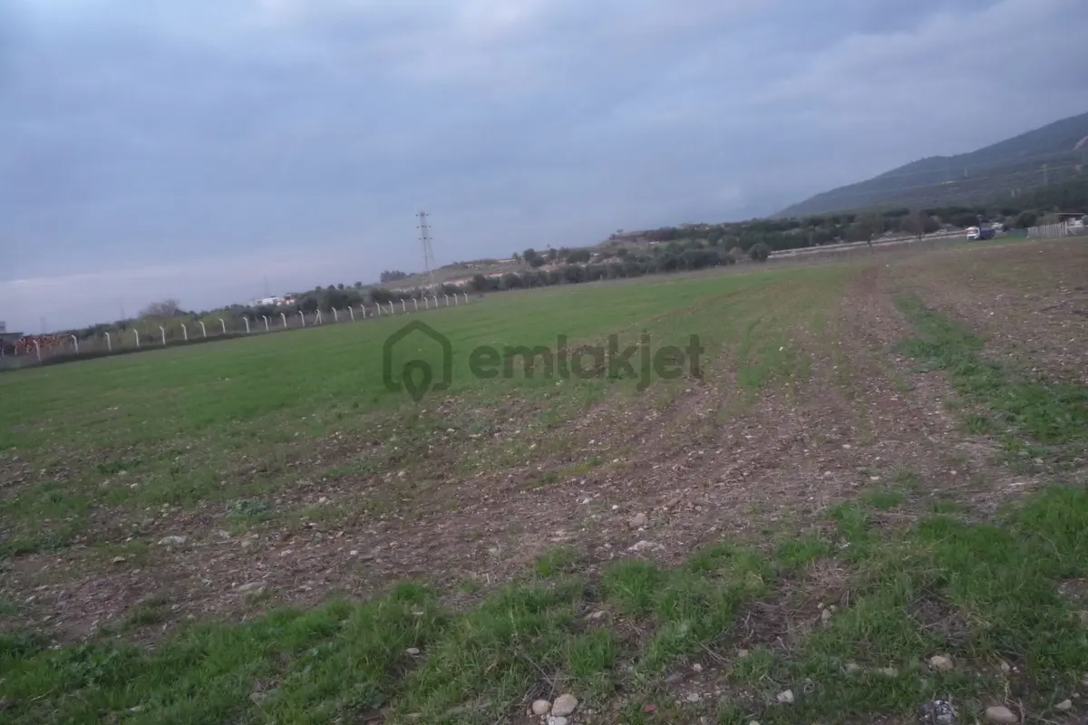 İzmir Torbalı Gold Emlaktan Satılık Tarla - 4