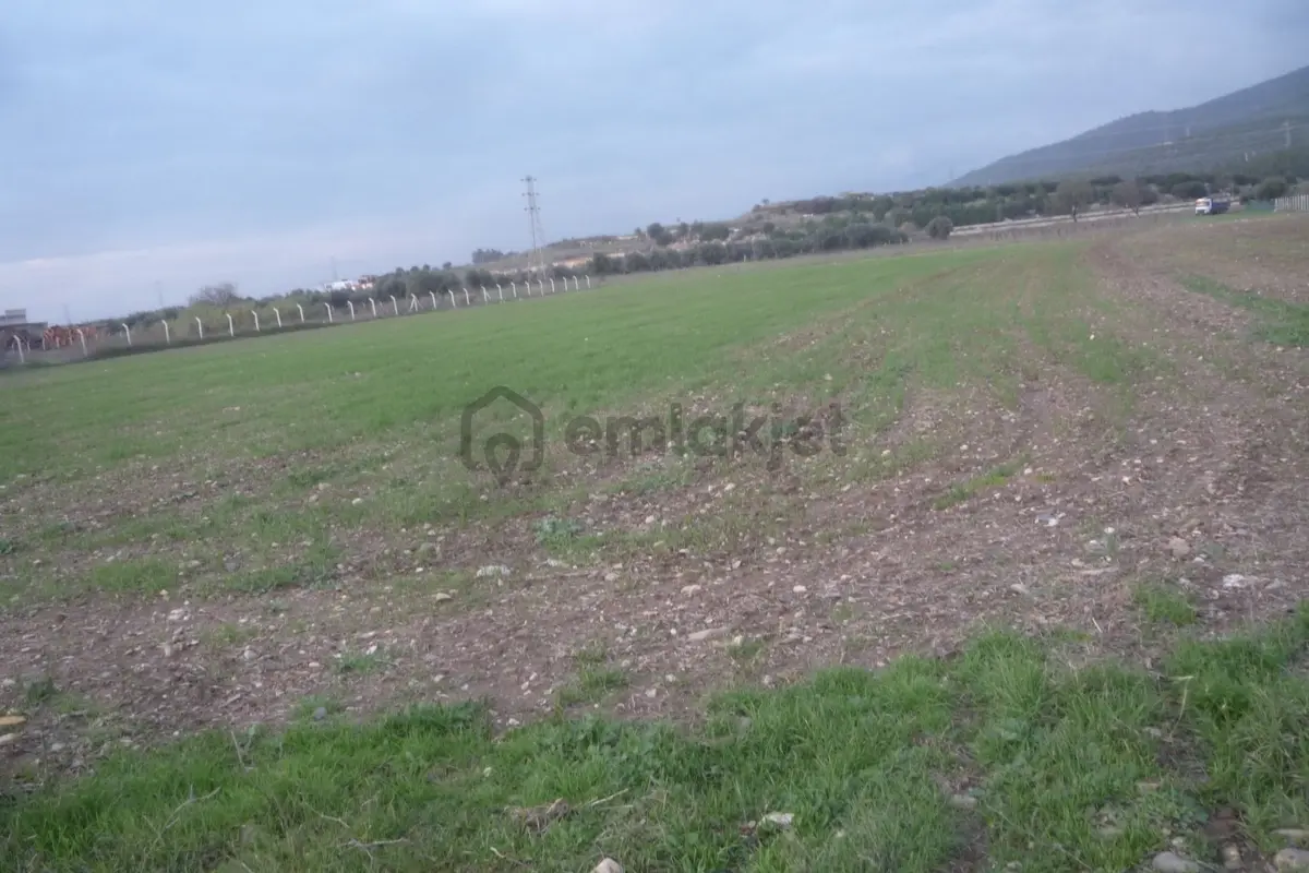 İzmir Torbalı Gold Emlaktan Satılık Tarla - 6