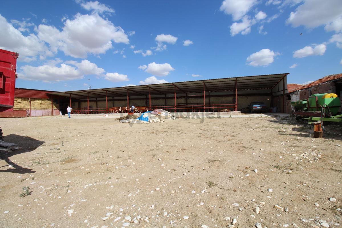 Aksaray Topakkayada Satılık Çiftlik - 33