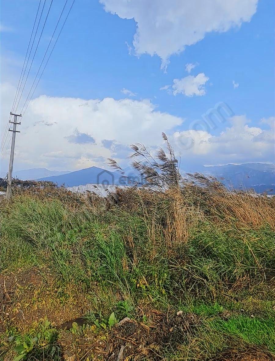 Kaş Ova Mh.100006 M2 Satılık Tarla. - 20