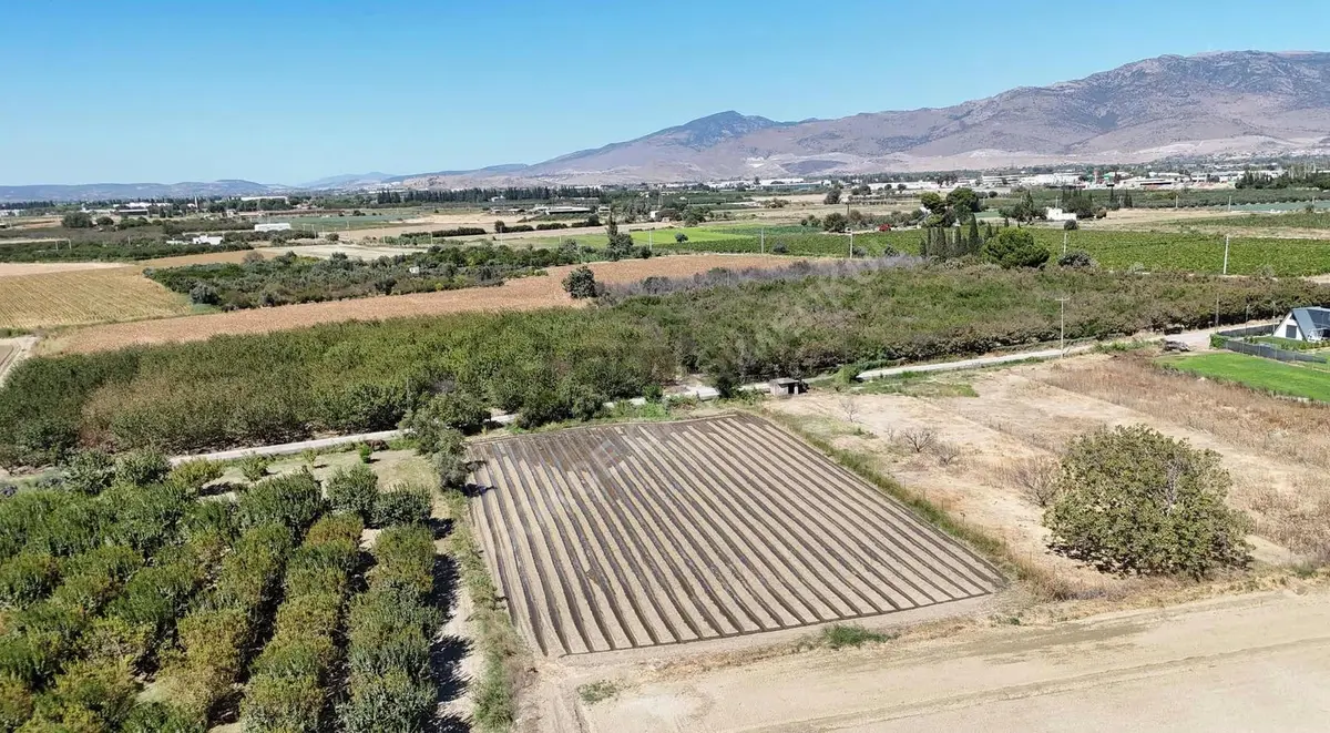 Menemen Merkezde Satılık 3081 M2 Tapulu Komşuları Olan Bahçe - 18