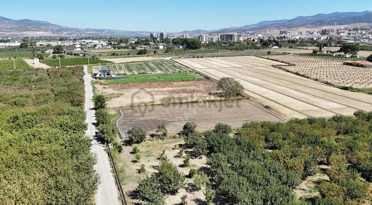 Menemen Merkezde Satılık 3081 M2 Tapulu Komşuları Olan Bahçe - 14