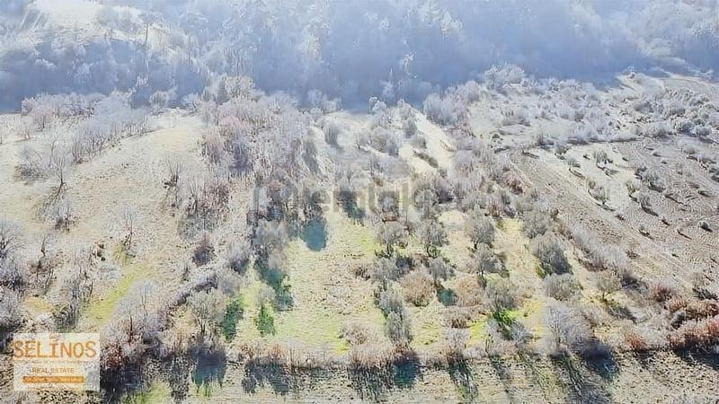 Bergama Dereköy'de 13.484 M2 Zeytinlik - 17