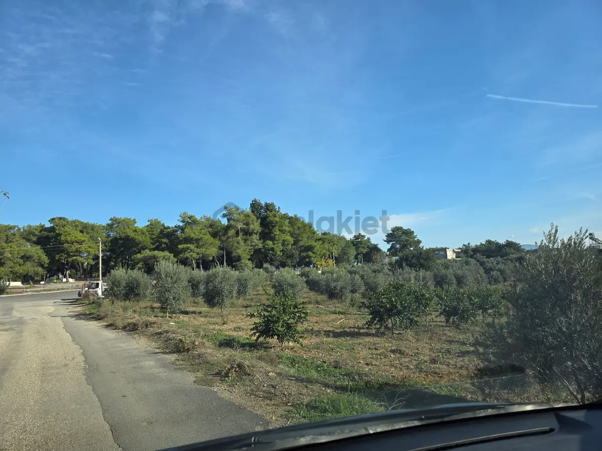 Manavgat Hatıplar Da Hisse Tapulu Yer - 7