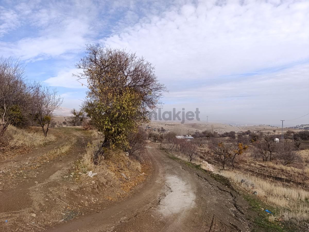Karadiğin De Doğanın İçinde Müstakil Bahçe Evi - 34