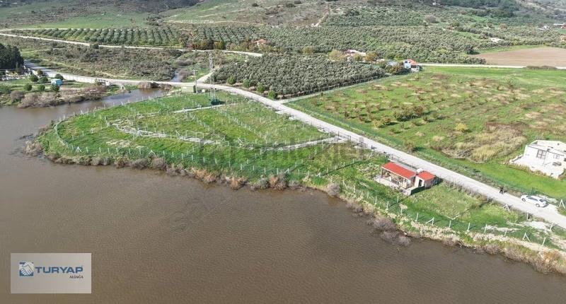 Göle Sıfır Konumda Elektrik Ve Suyu Hazır Tarla - 20