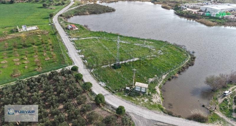 Göle Sıfır Konumda Elektrik Ve Suyu Hazır Tarla - 22