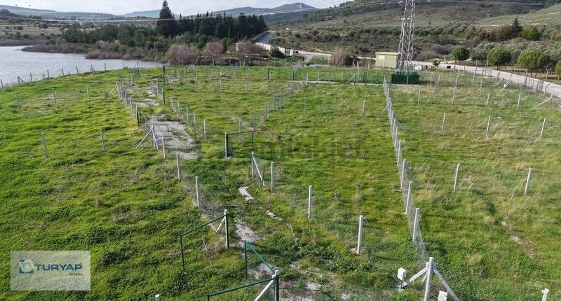Göle Sıfır Konumda Elektrik Ve Suyu Hazır Tarla - 6
