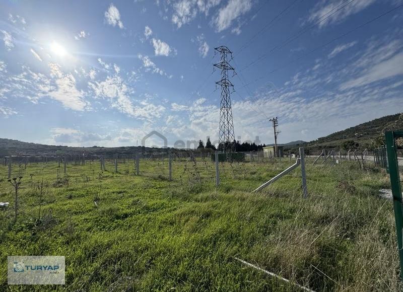 Göle Sıfır Konumda Elektrik Ve Suyu Hazır Tarla - 28