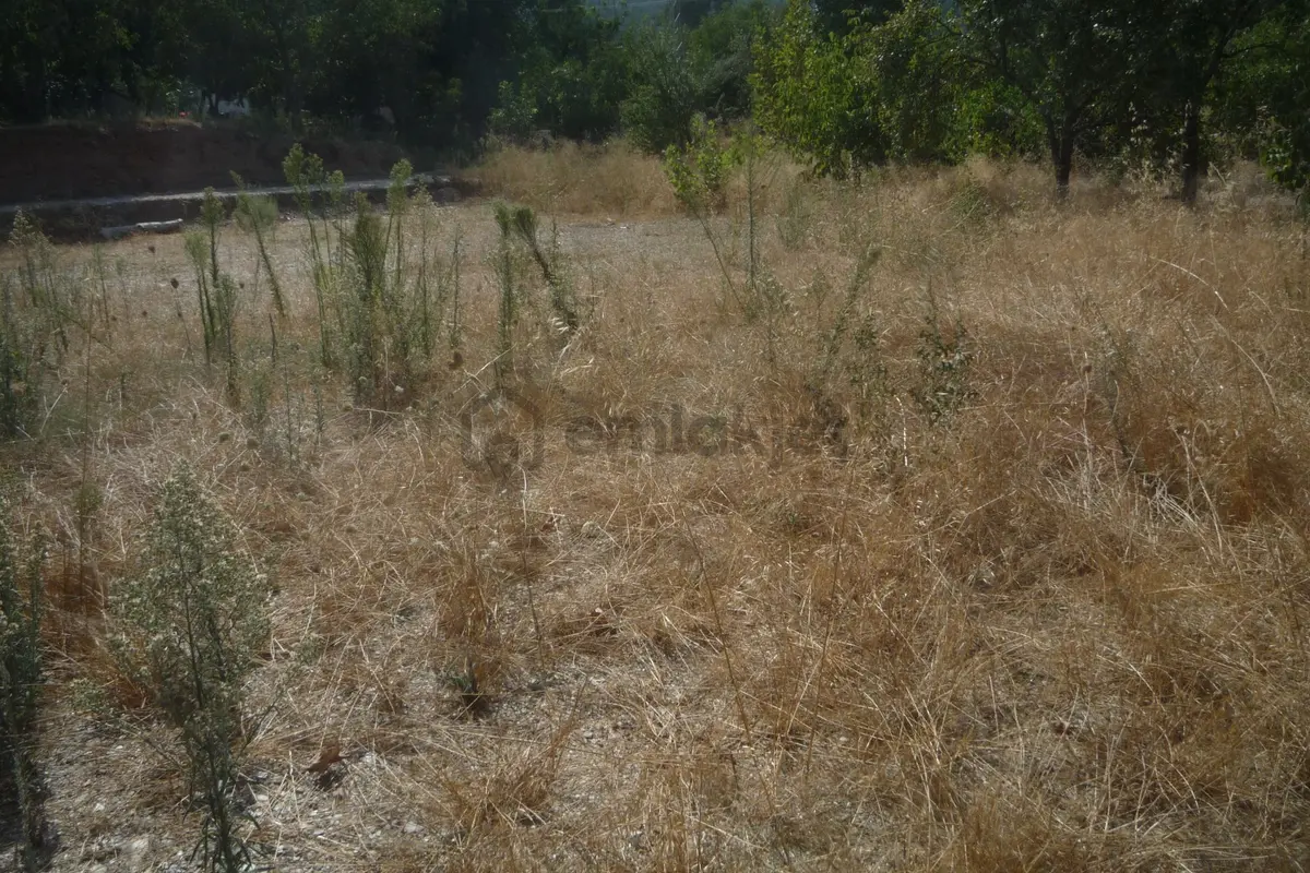 İzmir Torbalı Gold Emlaktan Satılık Bahçe - 9