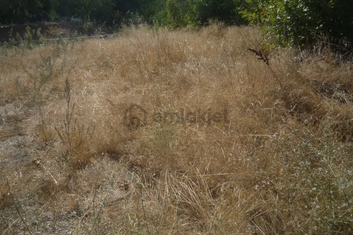 İzmir Torbalı Gold Emlaktan Satılık Bahçe - 5