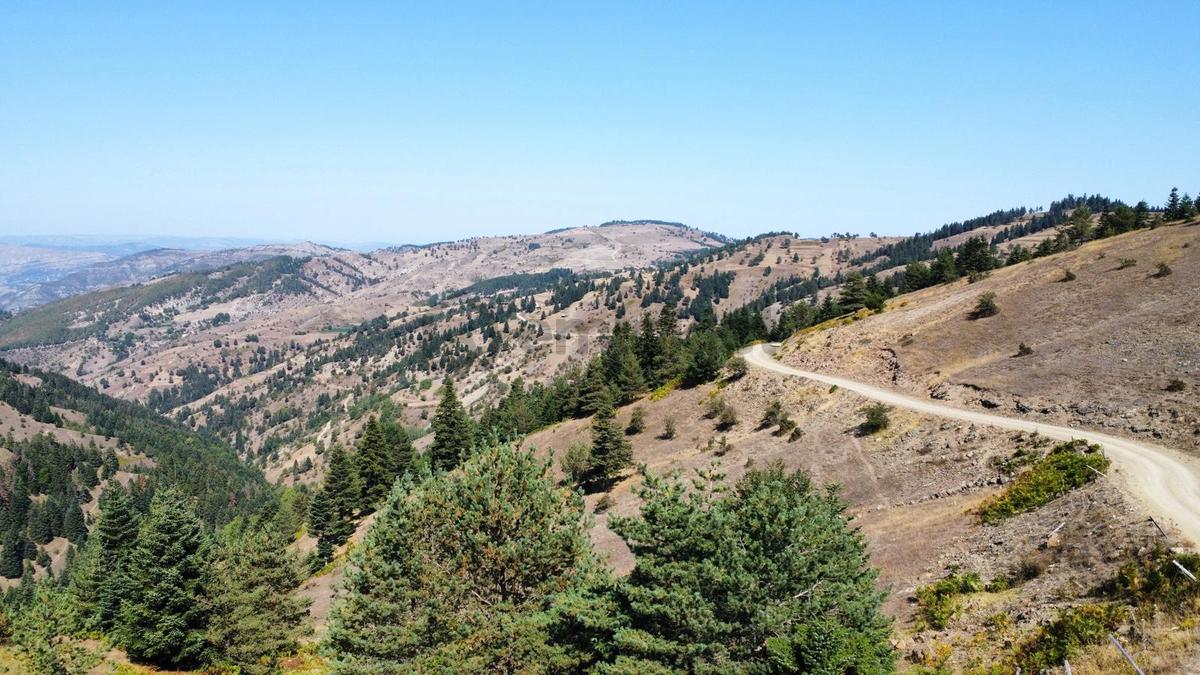Sinop Durağan'da Satılık Arazi - 29