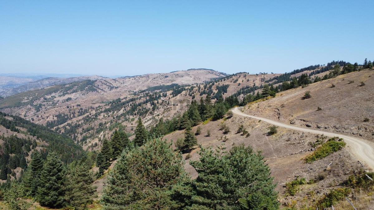 Sinop Durağan'da Satılık Arazi - 23