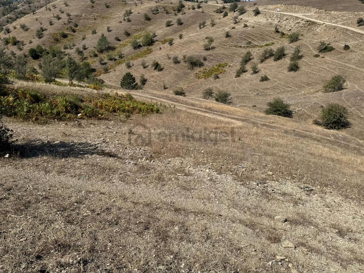Sinop Durağan'da Satılık Arazi - 12