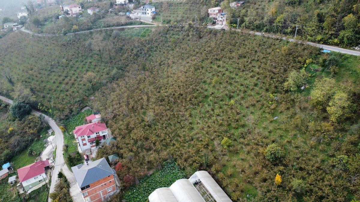 Trabzon'da Satılık Arazi - 26