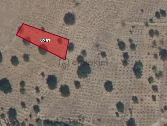 Doğanlarla / Yeni Mahalle De 352 2 - 2