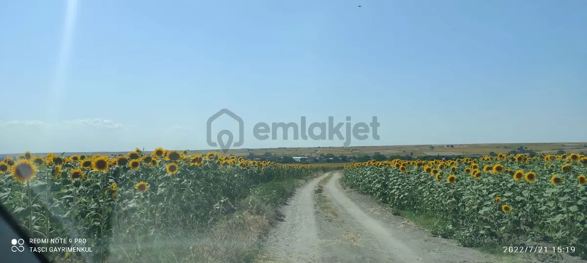 1164 M2 Satılık Tarla Kapaklı Uzunhacıda - 15