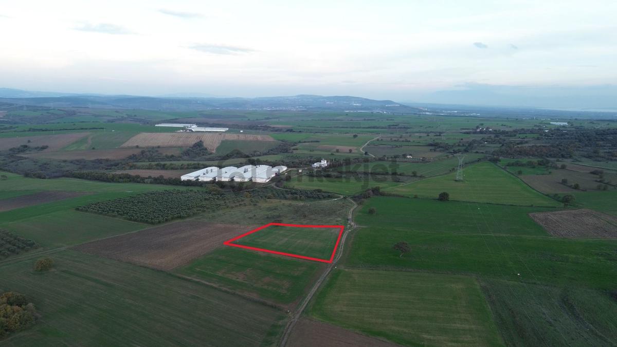 Remax Advantage'dan Karacabey Harmanlı'da Yola Cephe Tarla - 12