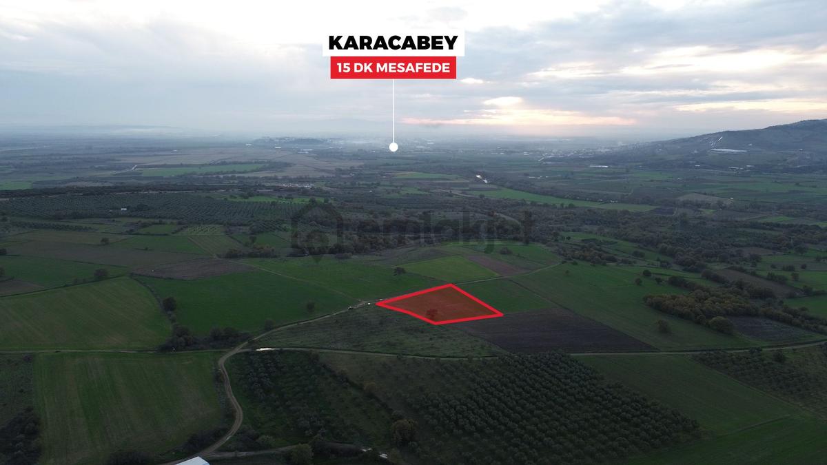 Remax Advantage'dan Karacabey Harmanlı'da Yola Cephe Tarla - 8