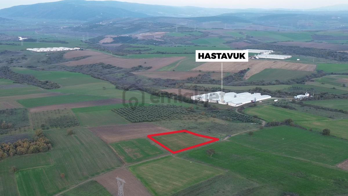 Remax Advantage'dan Karacabey Harmanlı'da Yola Cephe Tarla - 7