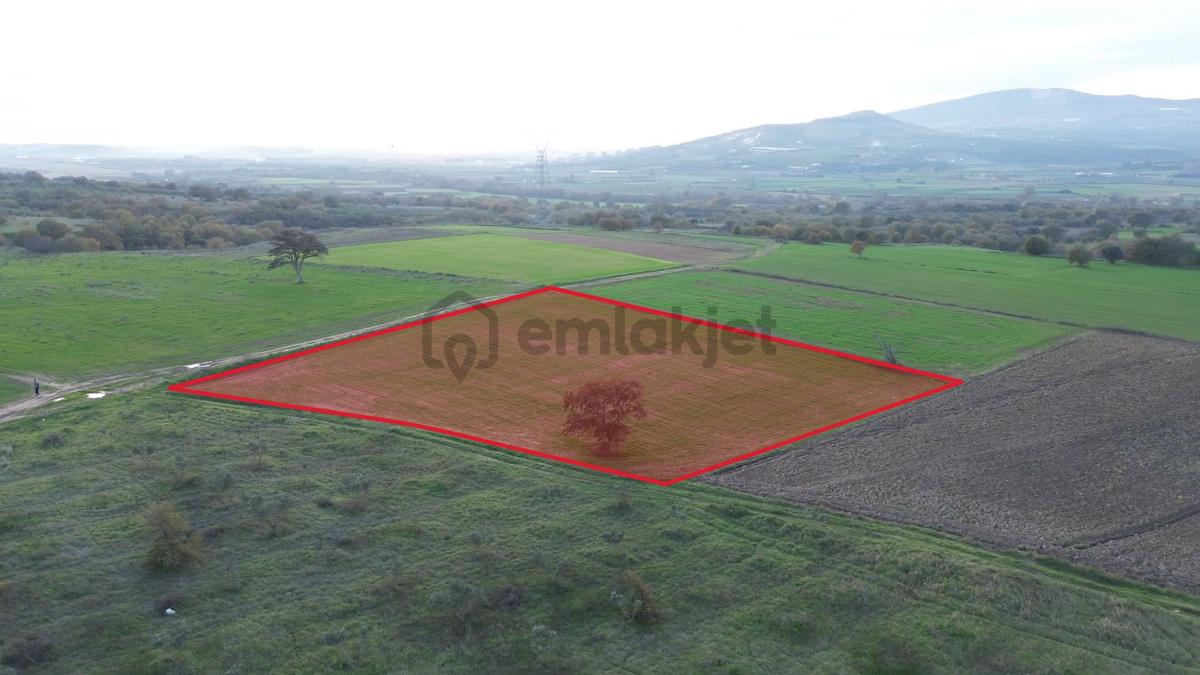 Remax Advantage'dan Karacabey Harmanlı'da Yola Cephe Tarla - 5