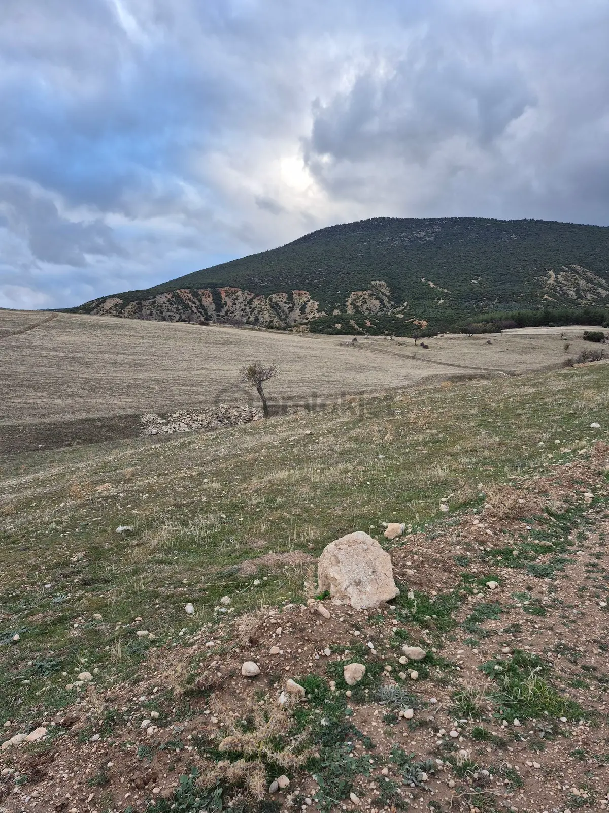 11660 M2 3tapu Isparta Gönen De - 11