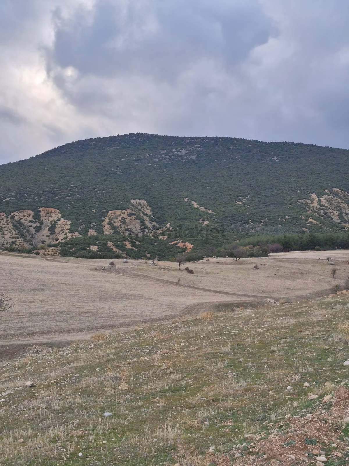 11660 M2 3tapu Isparta Gönen De - 3