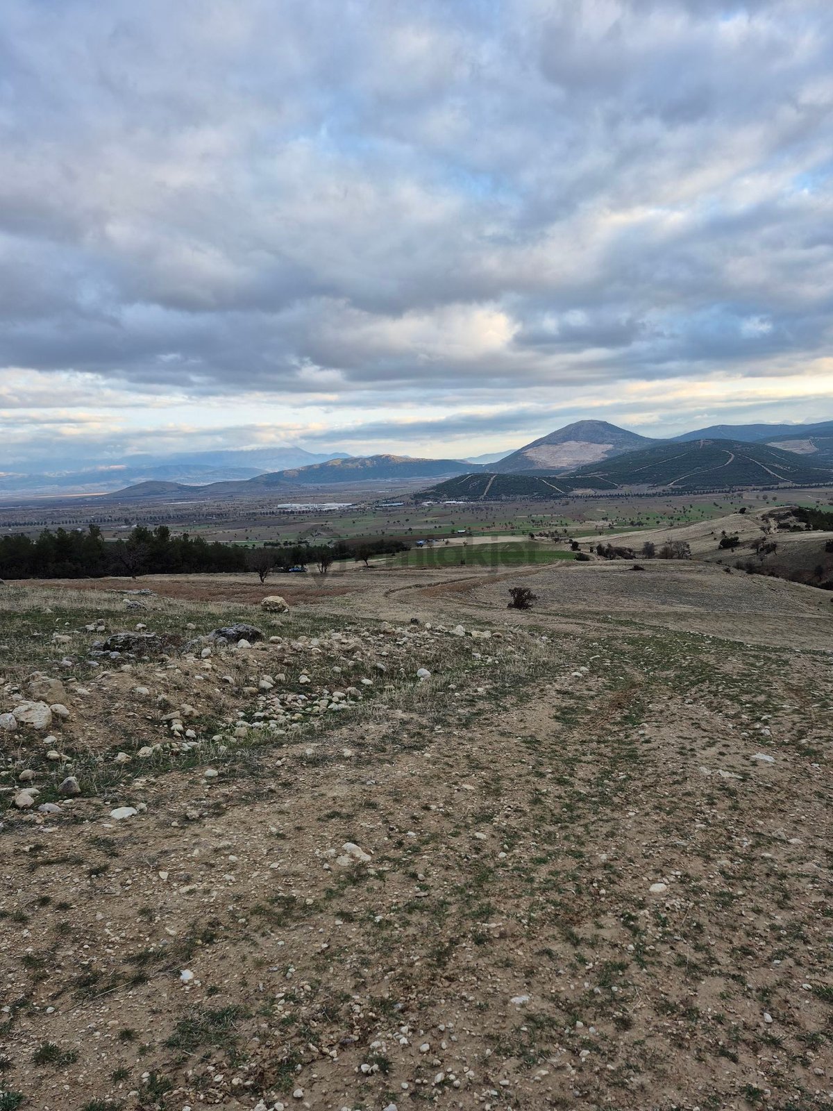 11660 M2 3tapu Isparta Gönen De - 2