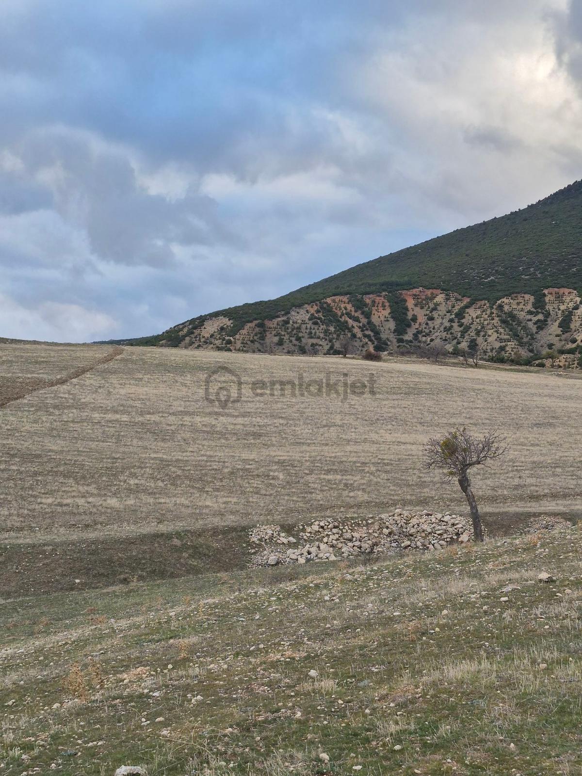11660 M2 3tapu Isparta Gönen De - 6