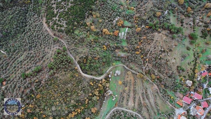 Su Aboneliği Olan Tarla Ve Zeytinlik - 6