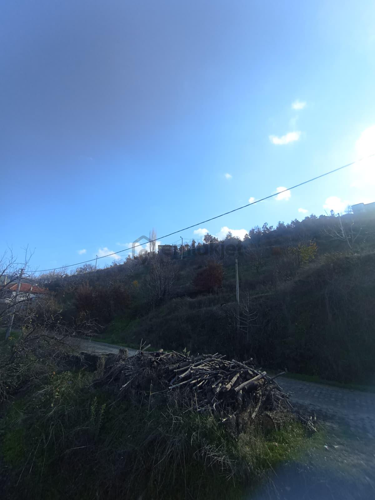 Aydın Nazilli Aşağıyakacık Mah Satılık - 6