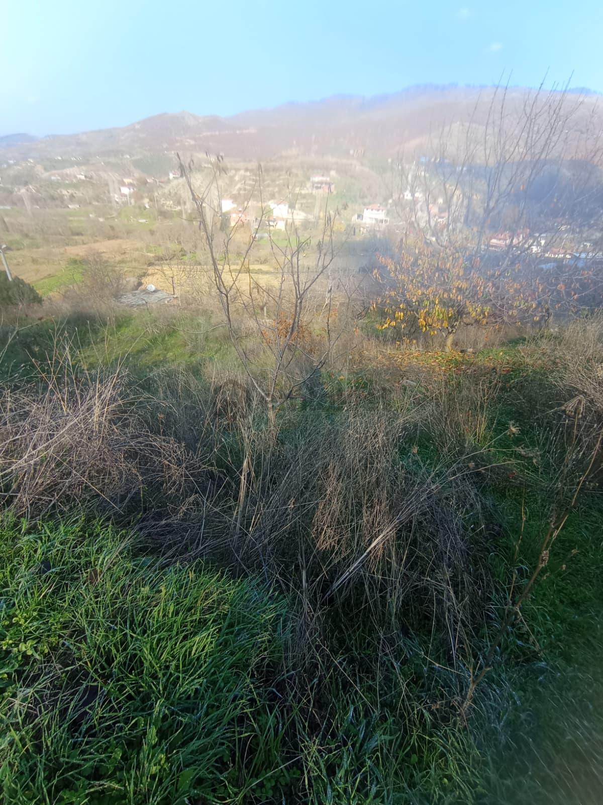 Aydın Nazilli Aşağıyakacık Mah Satılık - 31