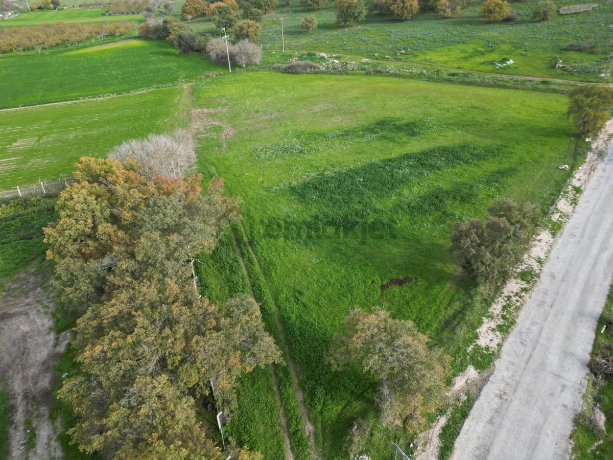 Bergama Çitköyde Yola Cephe Satılık Tarla - 4