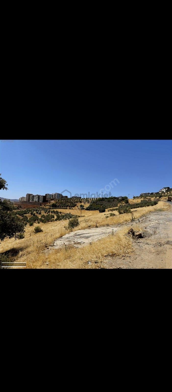 Yeni Rota Emlaktan Yatırımlık Yol Kenarı Arsa - 6